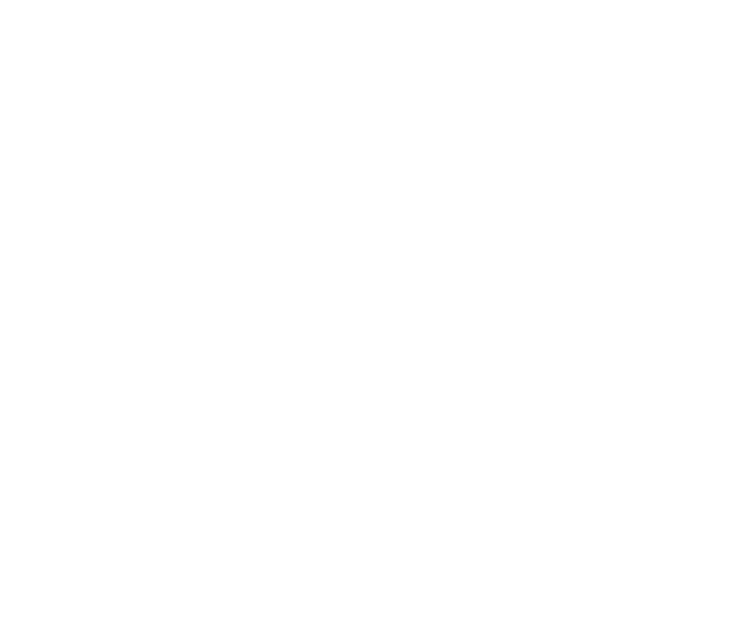 Ruler icon